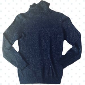 🪽Black Elegant Sparkly Turtle Neck Sweater